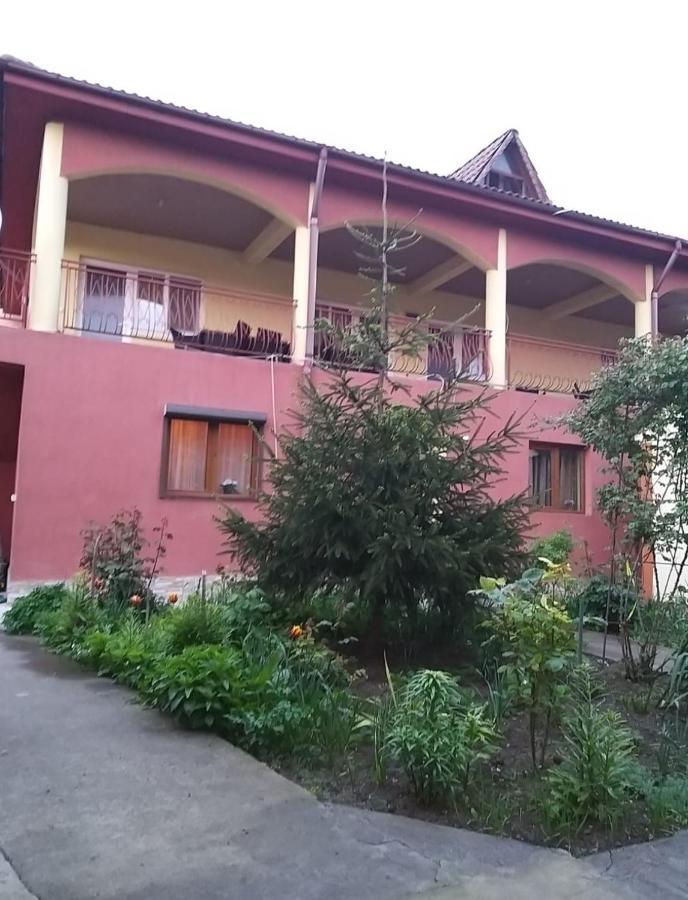 Pensiune La Rodica Hotel Costinesti Exterior photo